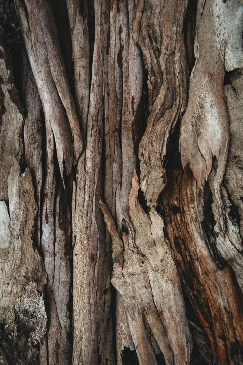 Wood Grain Phone Wallpaper · marble · 1440×2160