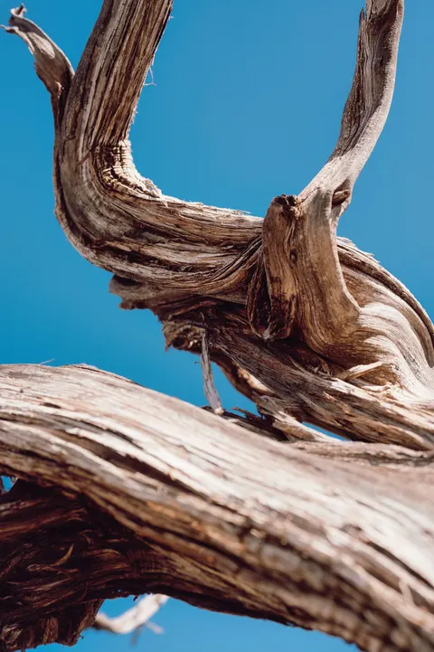 Wood Grain Phone Wallpaper · marble · 1440×2164