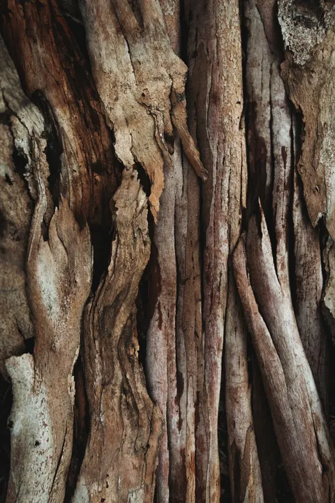 Holzmaserung Handy-Hintergrundbild · marble · 1440×2160