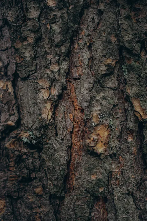 Wood Grain Phone Wallpaper · marble · 1440×2160