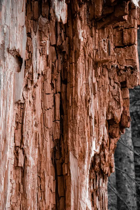Wood Grain Phone Wallpaper · marble · 1440×2160