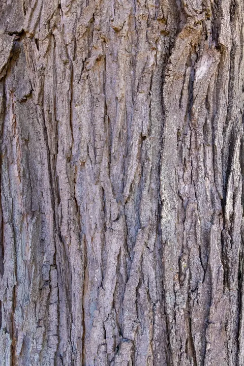 Wood Grain Phone Wallpaper · marble · 1440×2159