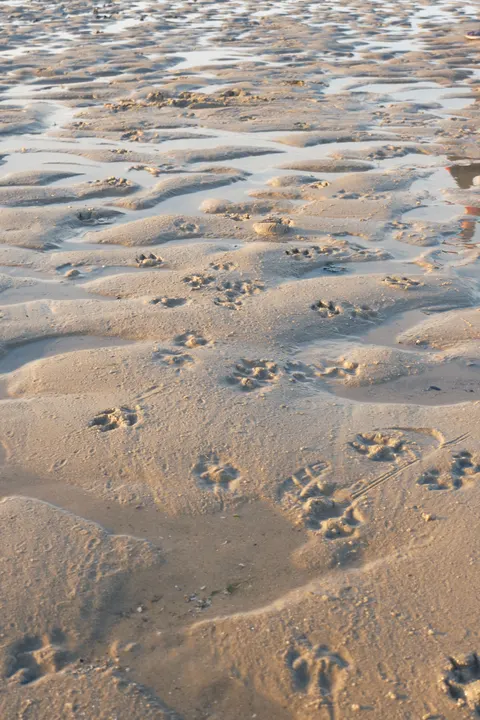 Sand Ripple Phone Wallpaper · marble · 1440×2160