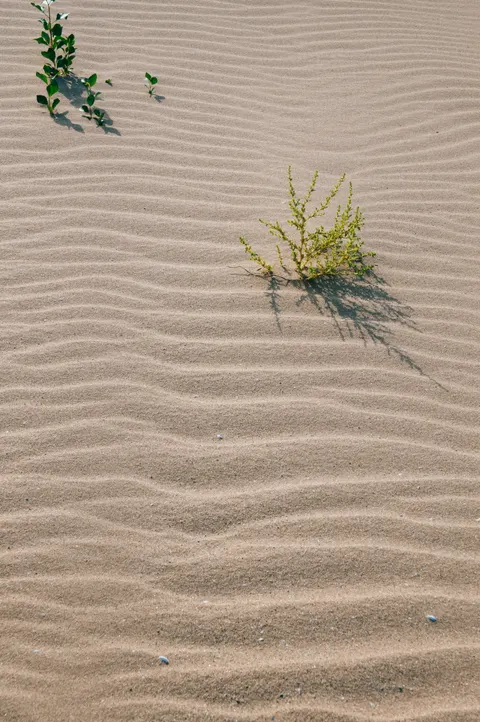 Sand Ripple Phone Wallpaper · marble · 1440×2166