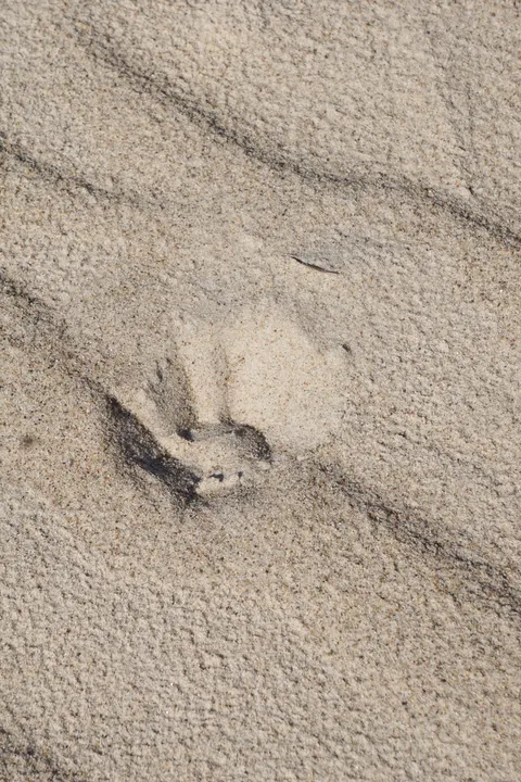 Sand Ripple Phone Wallpaper · marble · 1440×2160