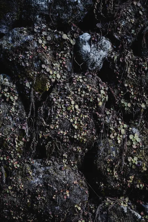 Stone Wall Phone Wallpaper · marble · 1440×2160