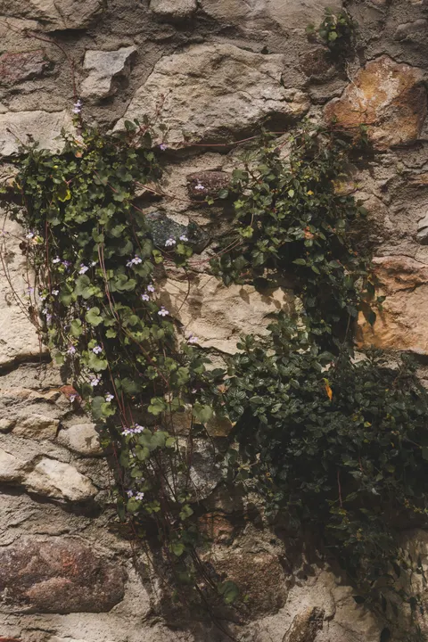 Stone Wall Phone Wallpaper · marble · 1440×2160