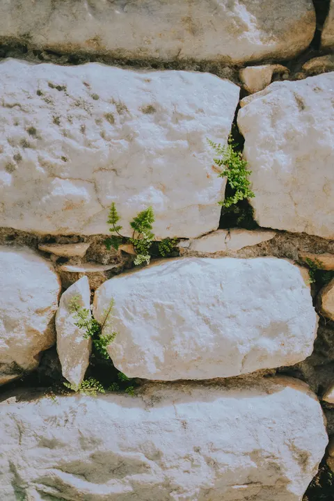 Stone Wall Phone Wallpaper · marble · 1440×2160