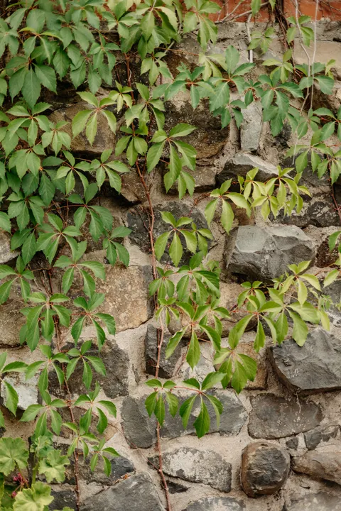 Stone Wall Phone Wallpaper · marble · 1440×2160