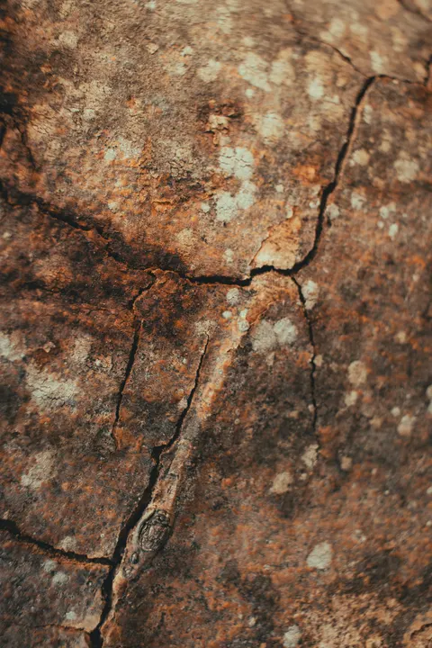 Stone Wall Phone Wallpaper · marble · 1440×2160
