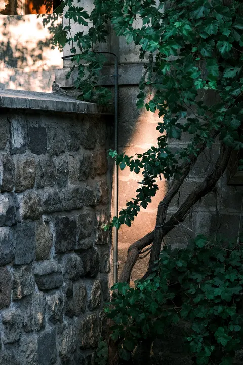 Stone Wall Phone Wallpaper · marble · 1440×2160
