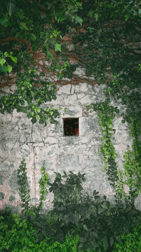 Stone Wall Phone Wallpaper · marble · 1440×2560