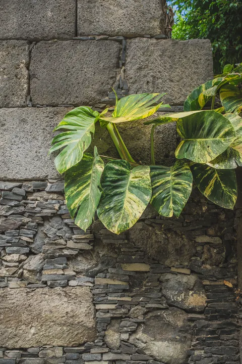 Stone Wall Phone Wallpaper · marble · 1440×2160