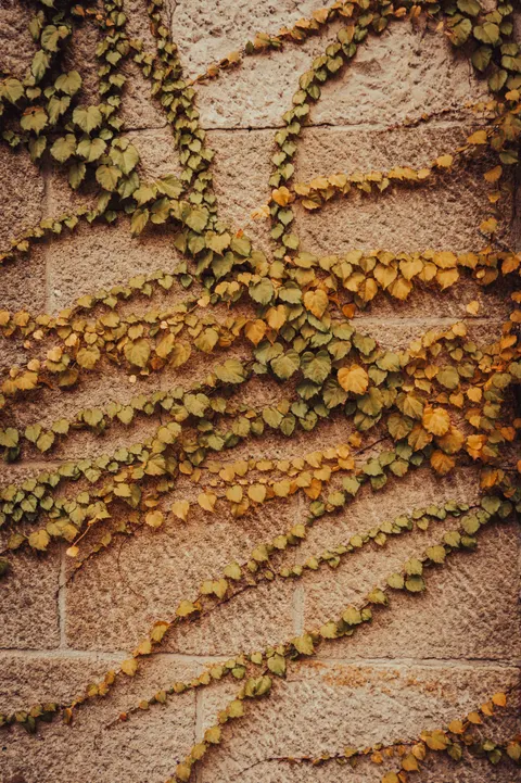 Stone Wall Phone Wallpaper · marble · 1440×2160