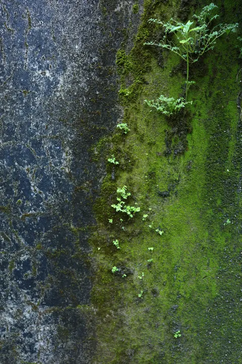 Stone Wall Phone Wallpaper · marble · 1440×2160