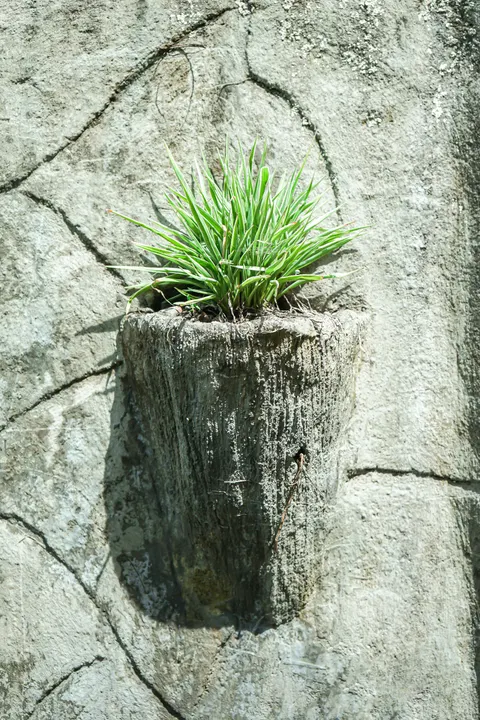 Stone Wall Phone Wallpaper · marble · 1440×2160