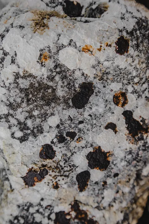 White Marble Phone Wallpaper · marble · 1440×2160