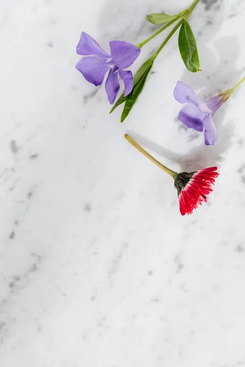 White Marble Phone Wallpaper · marble · 1440×2160
