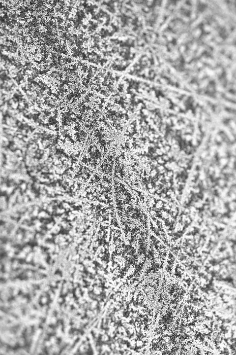 White Marble Phone Wallpaper · marble · 1440×2160
