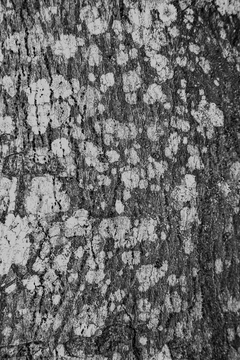 Black Marble Phone Wallpaper · marble · 1440×2160