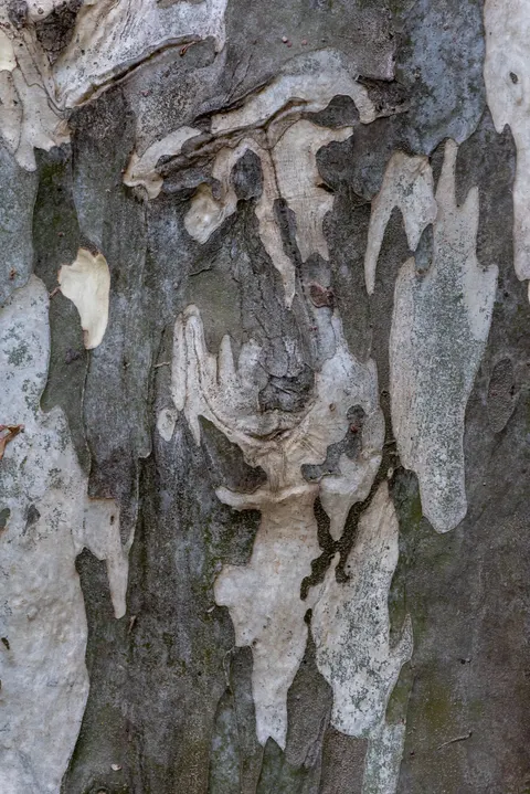 Wood Grain Phone Wallpaper · marble · 1440×2157