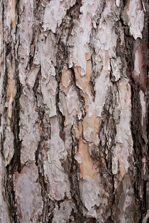 Wood Grain Phone Wallpaper · marble · 1440×2160