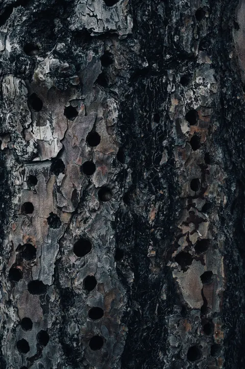 Wood Grain Phone Wallpaper · marble · 1440×2164