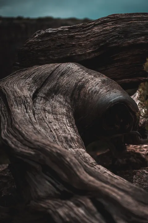 Wood Grain Phone Wallpaper · marble · 1440×2164
