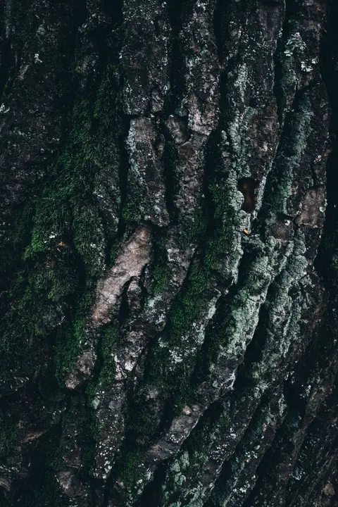Wood Grain Phone Wallpaper · marble · 1440×2160
