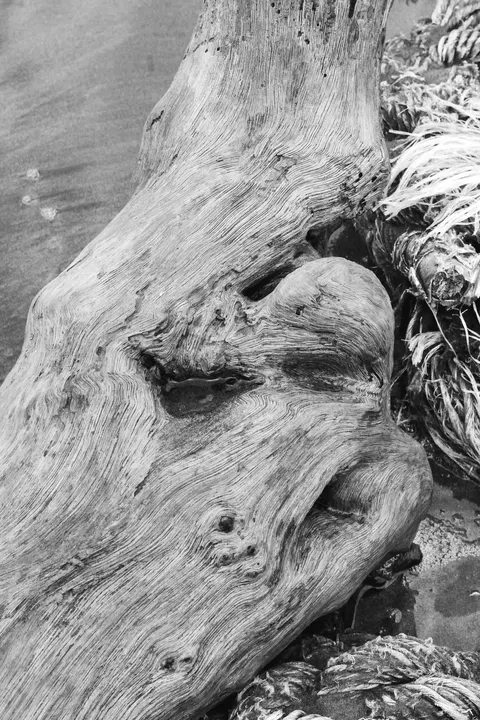 Wood Grain Phone Wallpaper · marble · 1440×2160