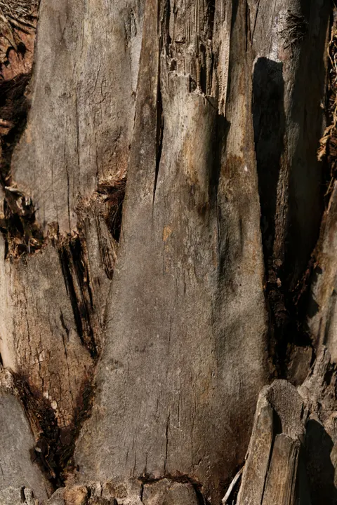 Wood Grain Phone Wallpaper · marble · 1440×2160