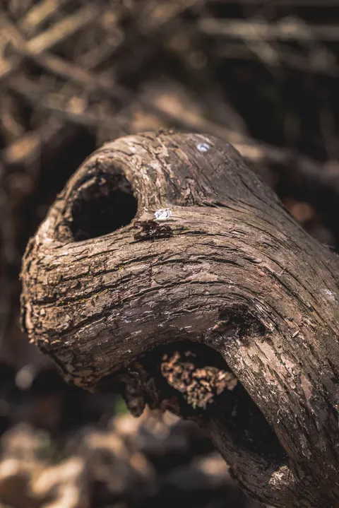Wood Grain Phone Wallpaper · marble · 1440×2157