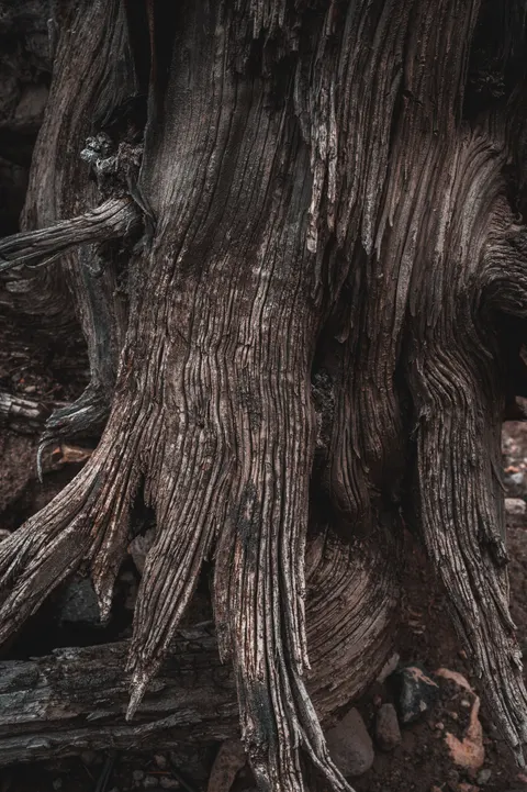 Wood Grain Phone Wallpaper · marble · 1440×2164