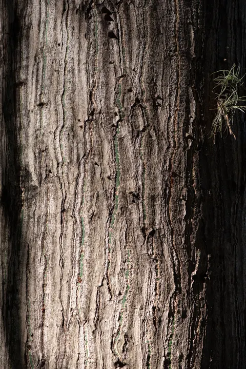 Wood Grain Phone Wallpaper · marble · 1440×2157