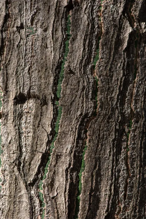 Wood Grain Phone Wallpaper · marble · 1440×2157