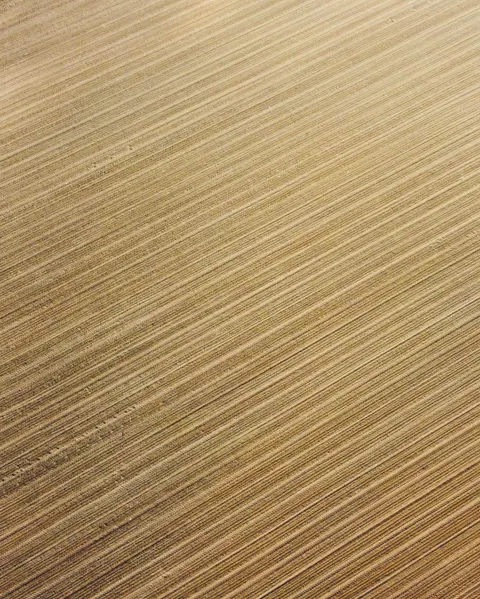 Wood Grain Phone Wallpaper · marble · 1440×1798