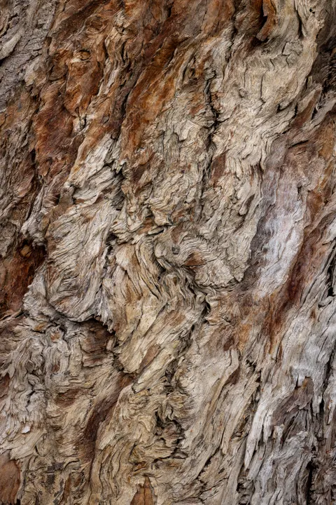 Wood Grain Phone Wallpaper · marble · 1440×2159