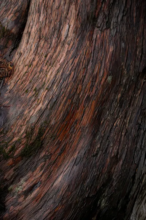 Wood Grain Phone Wallpaper · marble · 1440×2160
