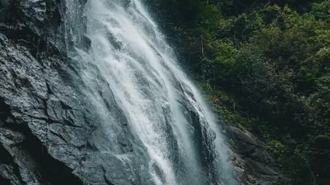 वर्षावन का झरना 4K वॉलपेपर · nature · 3840×2160