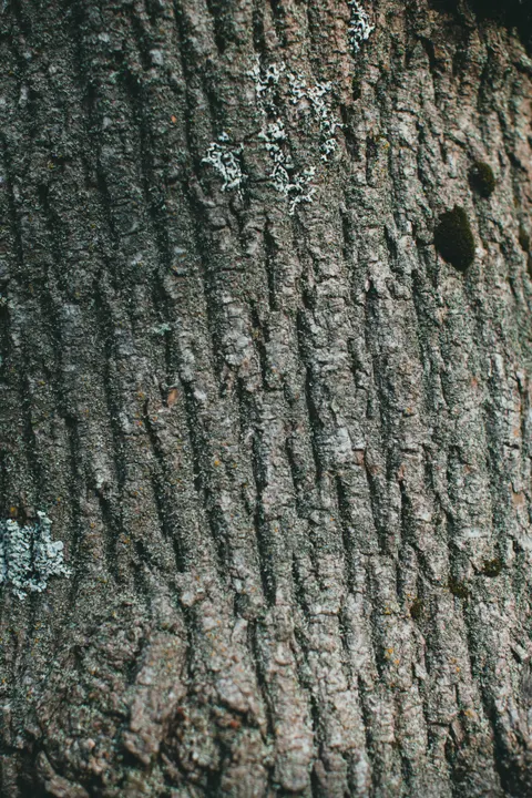 Wood Grain Phone Wallpaper · marble · 1440×2160
