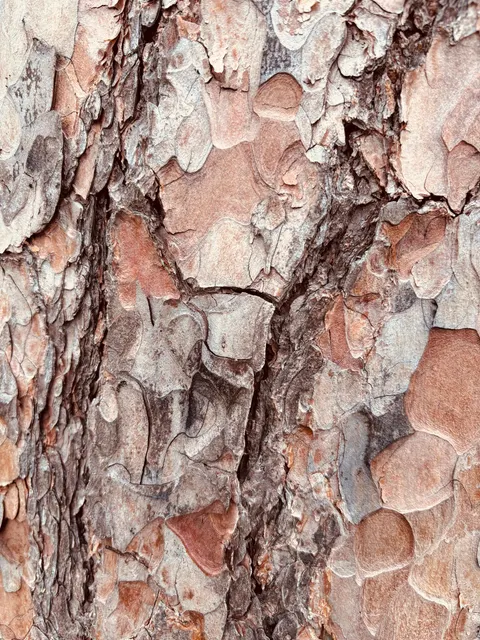 Wood Grain Phone Wallpaper · marble · 1440×1920
