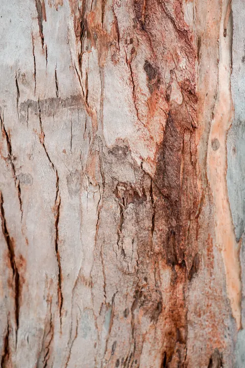 Wood Grain Phone Wallpaper · marble · 1440×2160