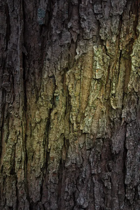 Wood Grain Phone Wallpaper · marble · 1440×2160
