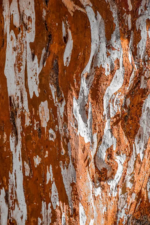 Wood Grain Phone Wallpaper · marble · 1440×2160