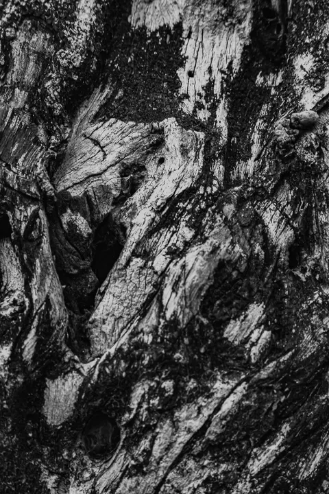 Wood Grain Phone Wallpaper · marble · 1440×2160