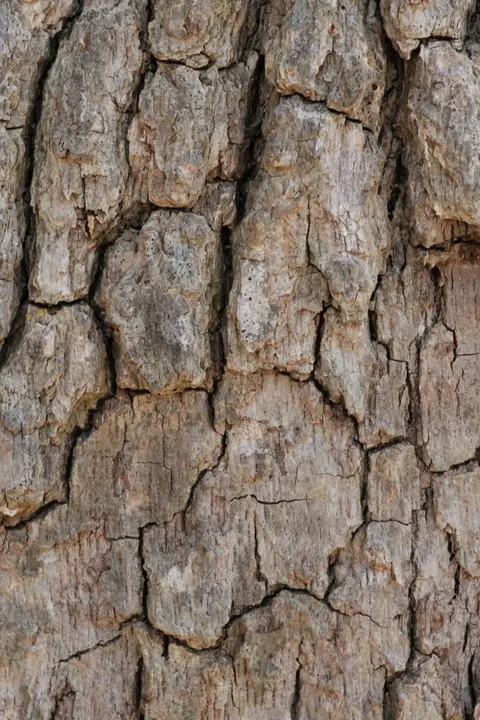 Wood Grain Phone Wallpaper · marble · 1440×2160