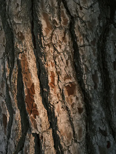 Wood Grain Phone Wallpaper · marble · 1440×1920