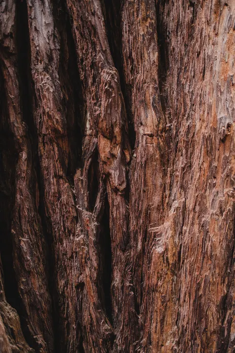 Wood Grain Phone Wallpaper · marble · 1440×2160