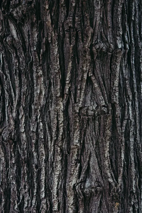 Wood Grain Phone Wallpaper · marble · 1440×2160
