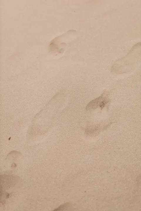 Sand Ripple Phone Wallpaper · marble · 1440×2160